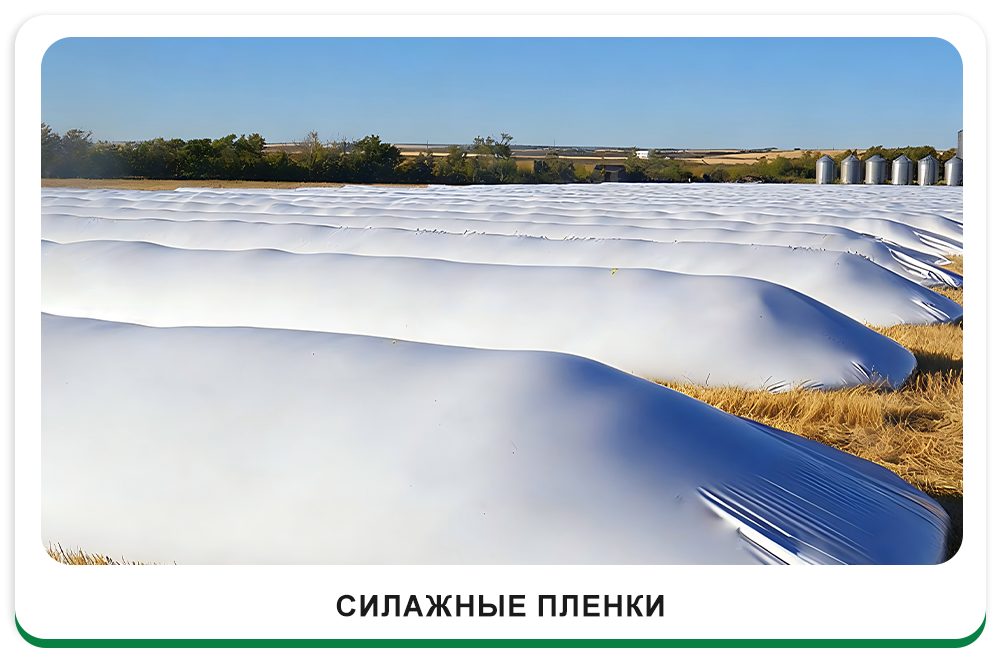 Силосные пленки